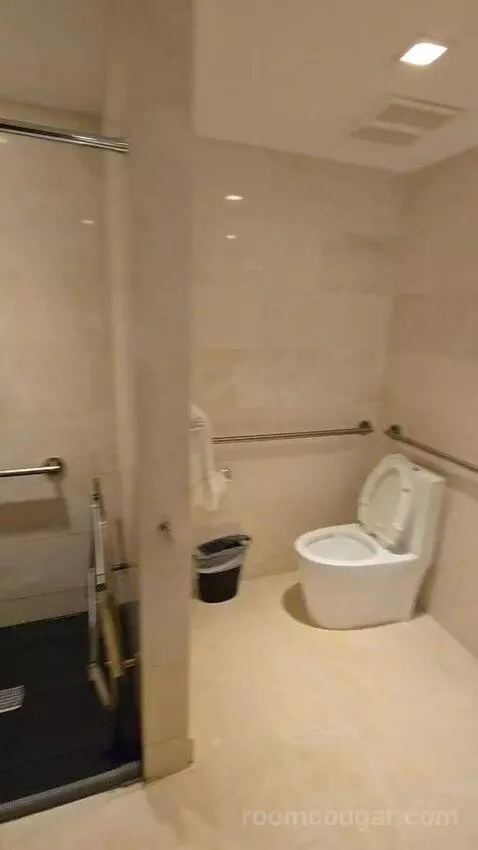 Premium City View King Accessible (#118) bathroom picture #8