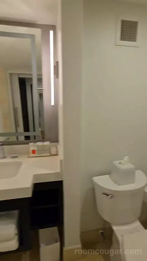 Double Room with City View (#427) bathroom picture #11