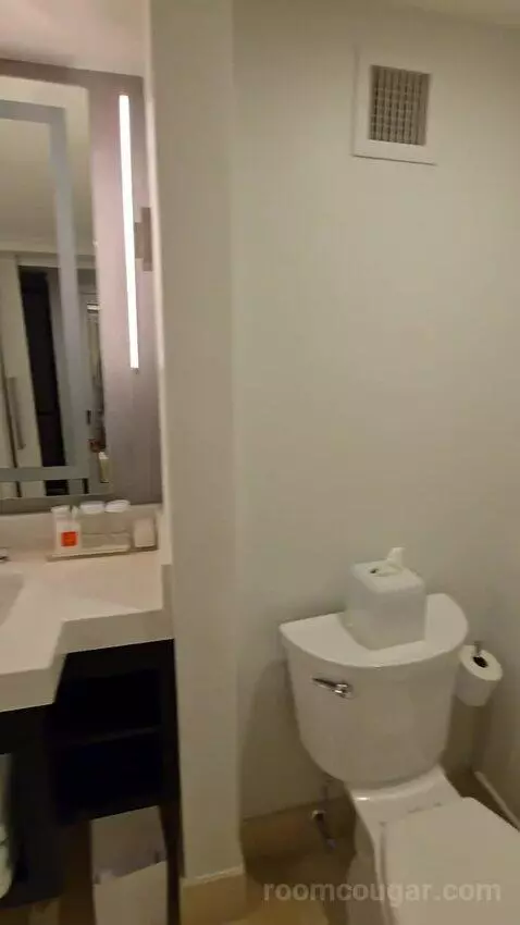 Double Room with City View (#427) bathroom picture #12