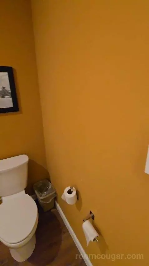 Extended, Studio, 1 King, Sofa Bed (#208) bathroom picture #5