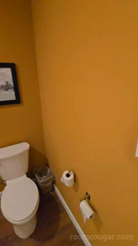 Extended, Studio, 1 King, Sofa Bed (#208) bathroom picture #6