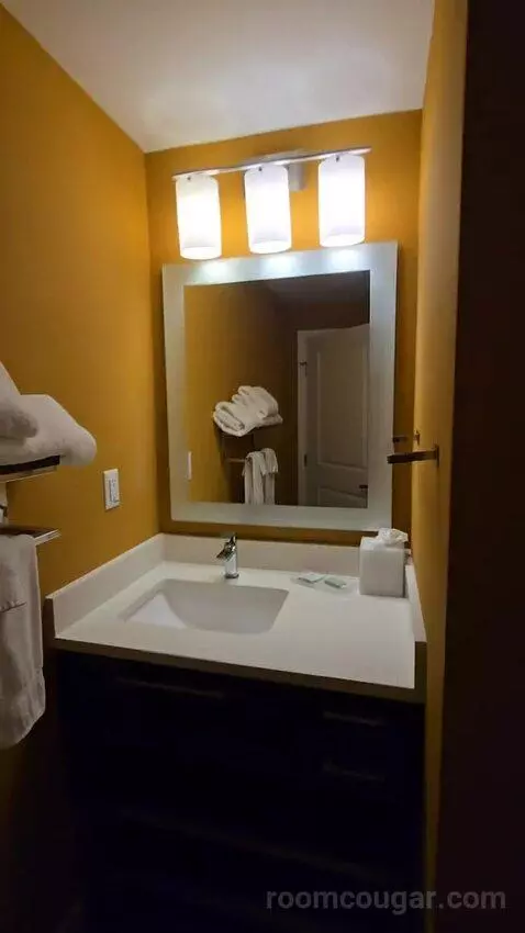 Extended, Studio, 1 King, Sofa Bed (#208) bathroom picture #7