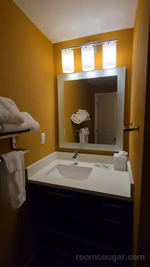 Extended, Studio, 1 King, Sofa Bed (#208) bathroom picture #9