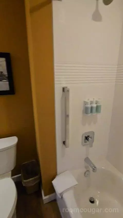 1 Bedroom Suite, 1 Queen, Sofa Bed (#223) bathroom picture #9