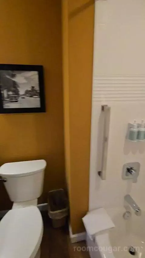 1 Bedroom Suite, 1 Queen, Sofa Bed (#223) bathroom picture #10