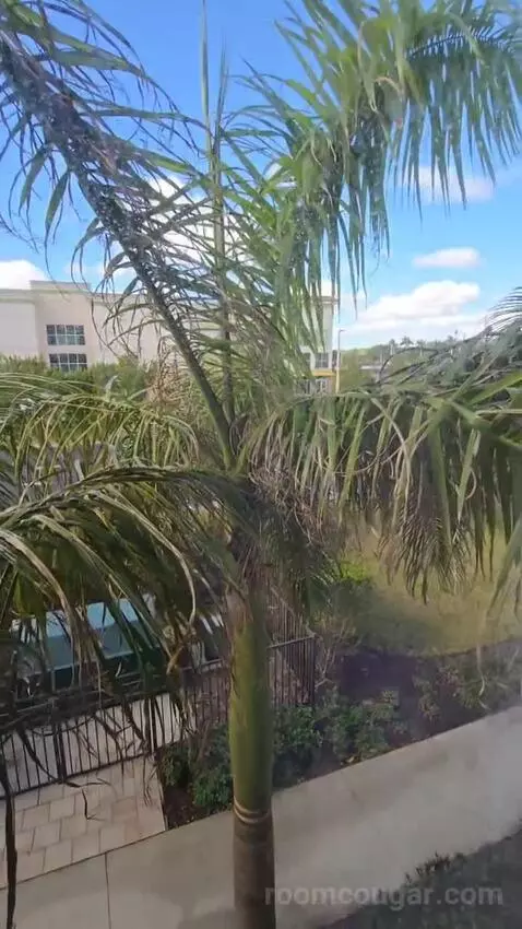 1 Bedroom Suite, 1 Queen, Sofa Bed (#223) view picture #7