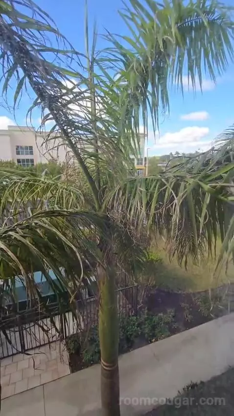 1 Bedroom Suite, 1 Queen, Sofa Bed (#223) view picture #8