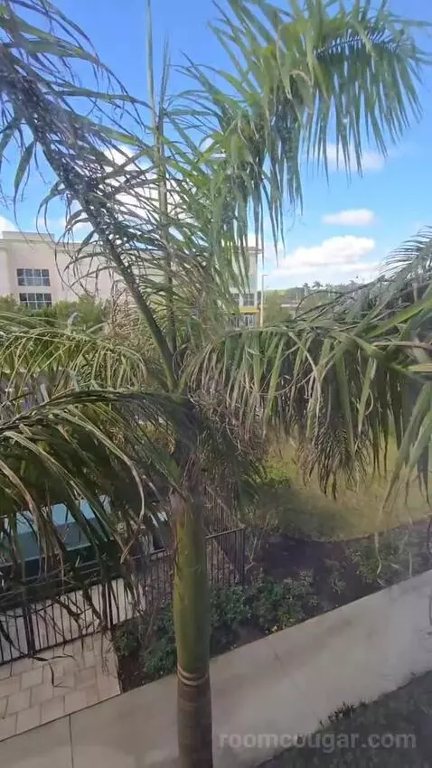 1 Bedroom Suite, 1 Queen, Sofa Bed (#223) view picture #9