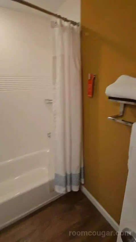 1 Bedroom Suite, 1 Queen, Sofa Bed (#223) bathroom picture #3