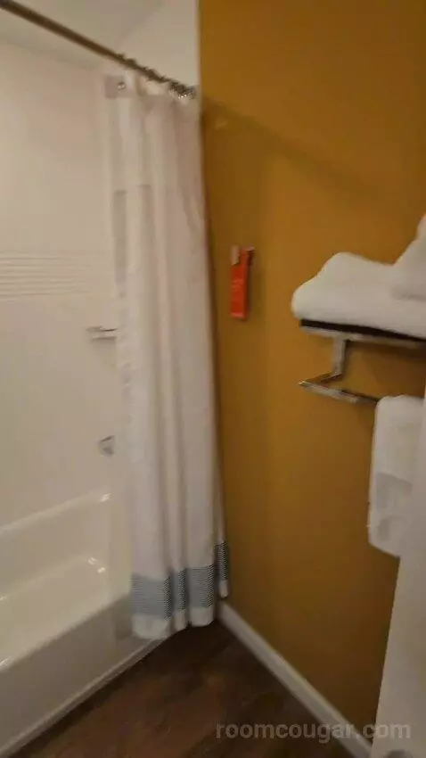 1 Bedroom Suite, 1 Queen, Sofa Bed (#223) bathroom picture #4