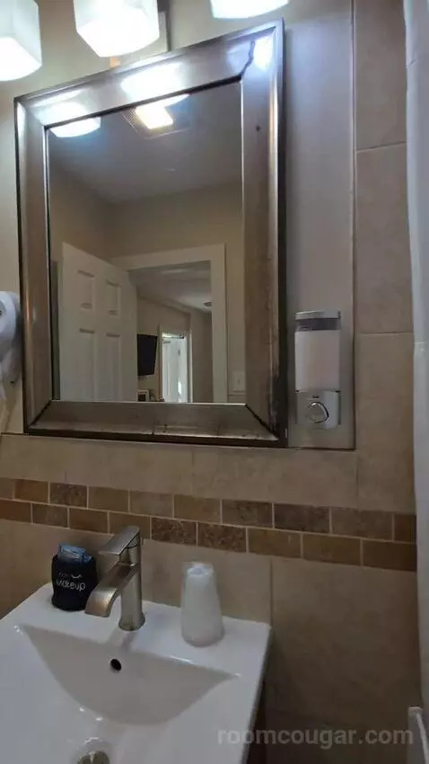 King Bed Room (#106) bathroom picture #6