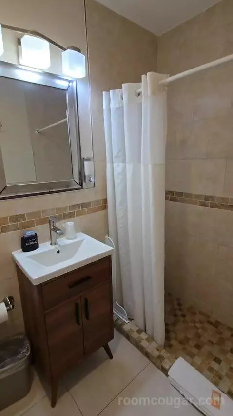 King Bed Room (#106) bathroom picture #3