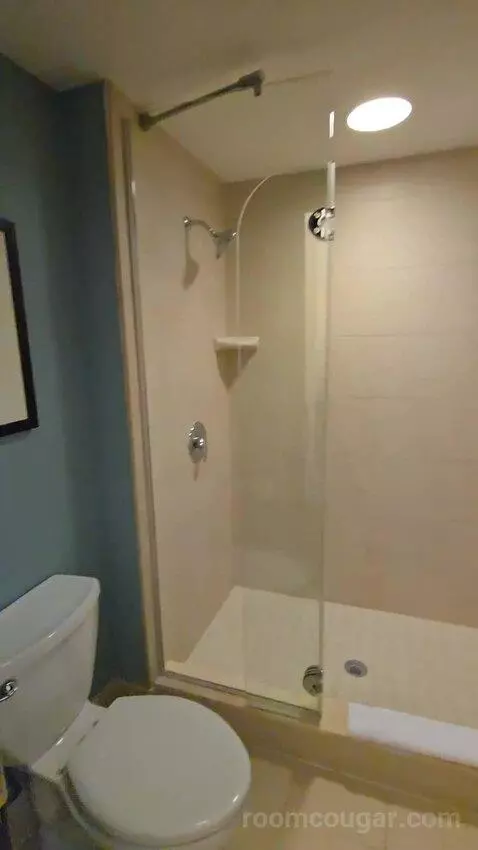 King Room with Sofa Bed (#127) bathroom picture #7