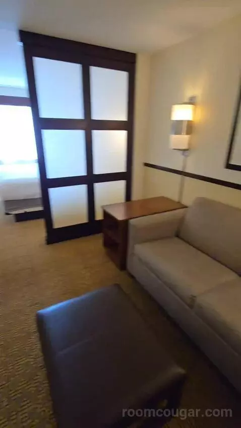 King Room with Sofa Bed (#127) bed picture #3