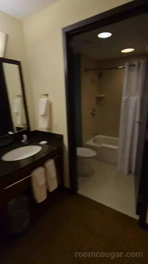 Queen Room with Two Queen Beds and Sofa Bed (#128) bathroom picture #2