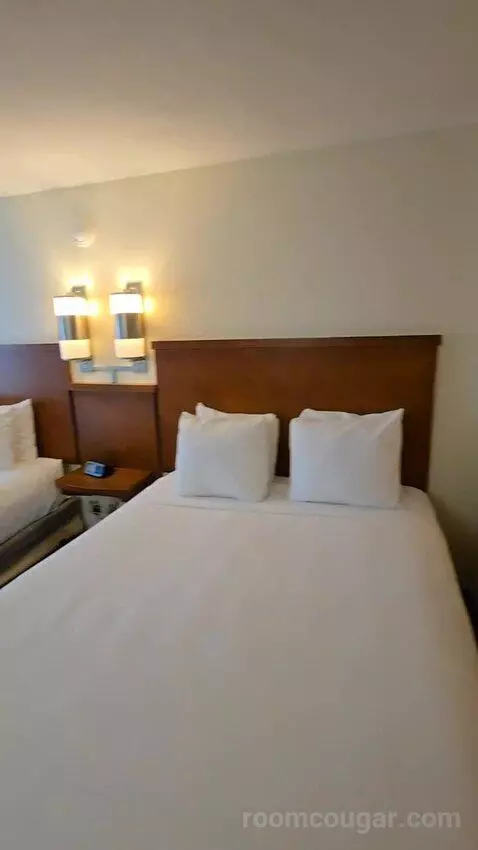 Queen Room with Two Queen Beds and Sofa Bed (#128) bed picture #6