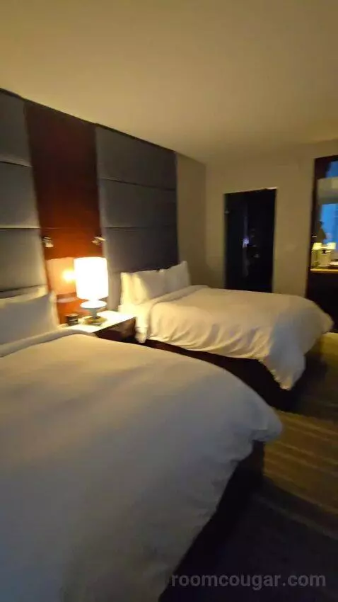 King or Double Room with City View (#3017) bed picture #5