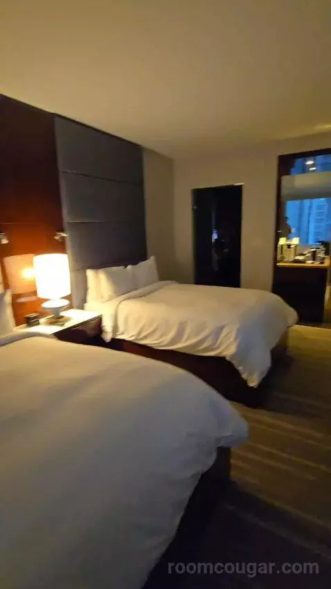 King or Double Room with City View (#3017) bed picture #6