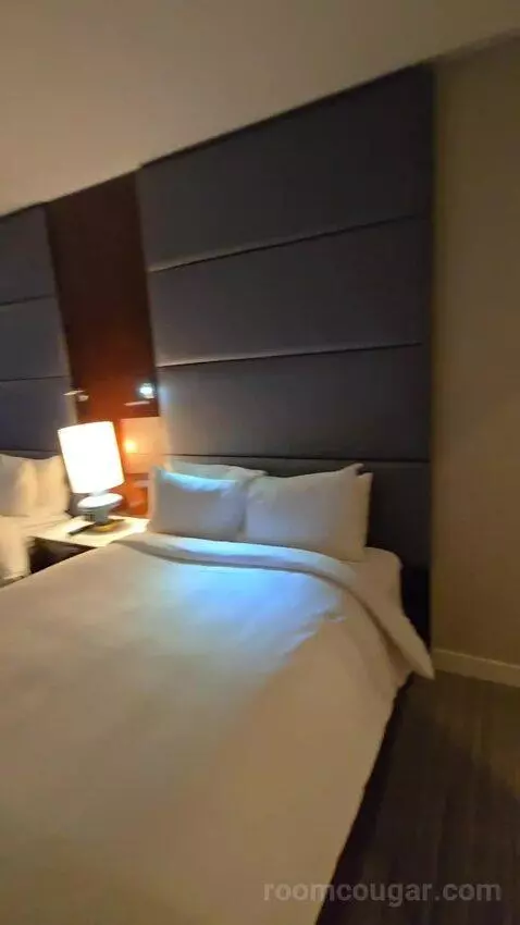 King or Double Room with City View (#3017) bed picture #7