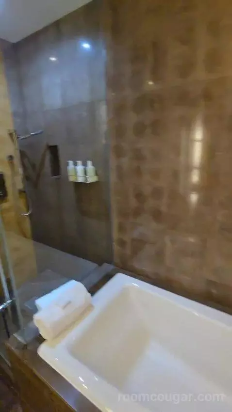 King or Double Room with City View (#3017) bathroom picture #4