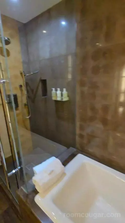 King or Double Room with City View (#3017) bathroom picture #5