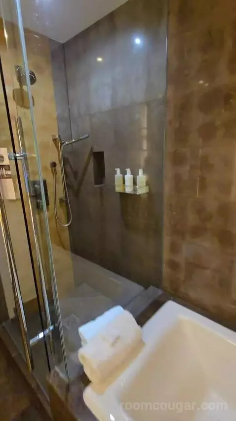 King or Double Room with City View (#3017) bathroom picture #6