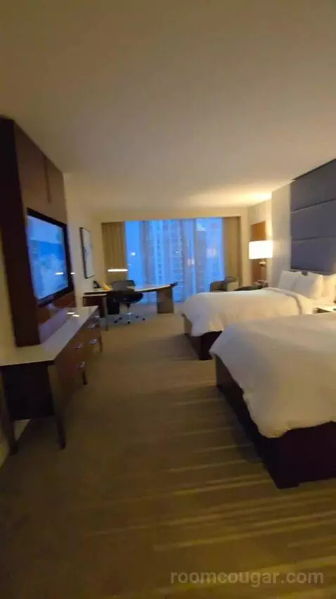 King or Double Room with City View (#3017) view picture #9