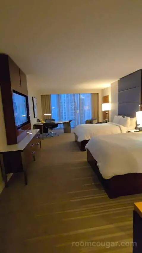 King or Double Room with City View (#3017) view picture #11