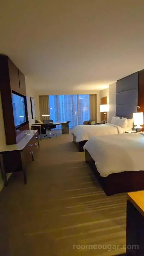King or Double Room with City View (#3017) view picture #12