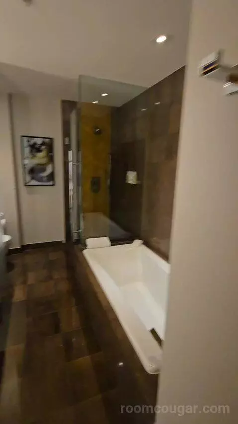 Deluxe King Room (#2625) bathroom picture #2