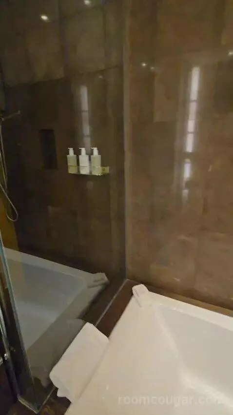 Deluxe King Room (#2625) bathroom picture #5