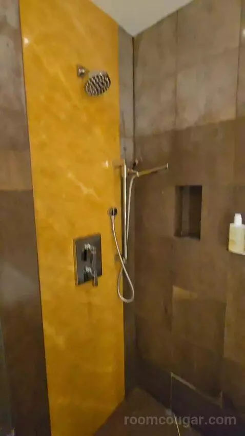 Deluxe King Room (#2625) bathroom picture #7