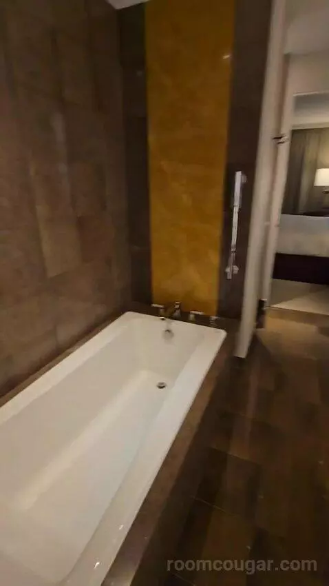 Deluxe King Room (#2625) bathroom picture #10