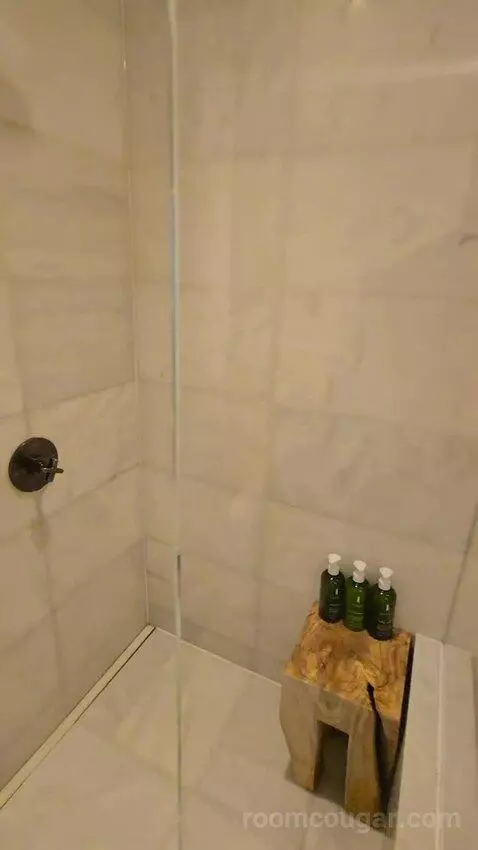 King Room with City View (#521) bathroom picture #6