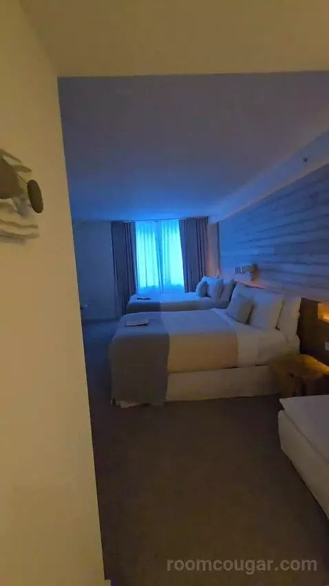 City View Two Queens bed picture #1