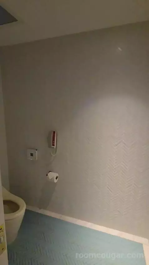 King Room with Bay View (#920) bathroom picture #6