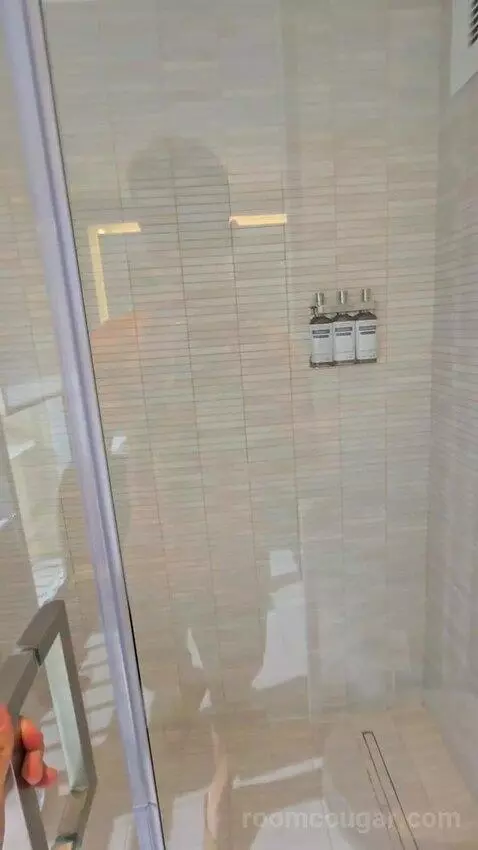Presidential Suite (#1629) bathroom picture #9