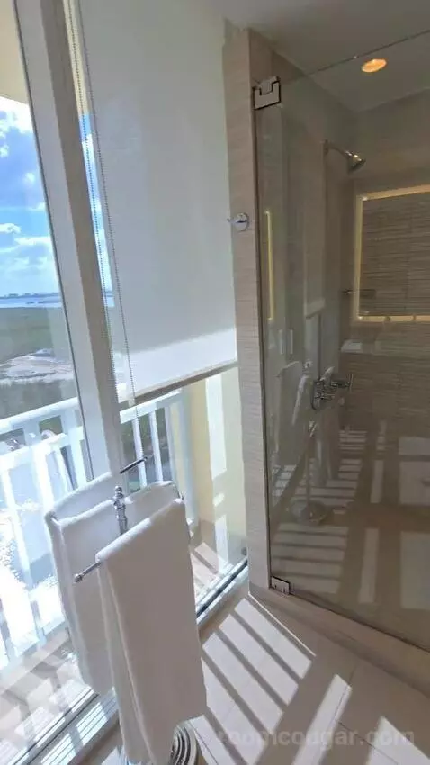 Presidential Suite (#1629) view picture #7
