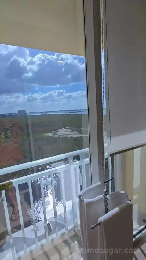 Presidential Suite (#1629) view picture #11