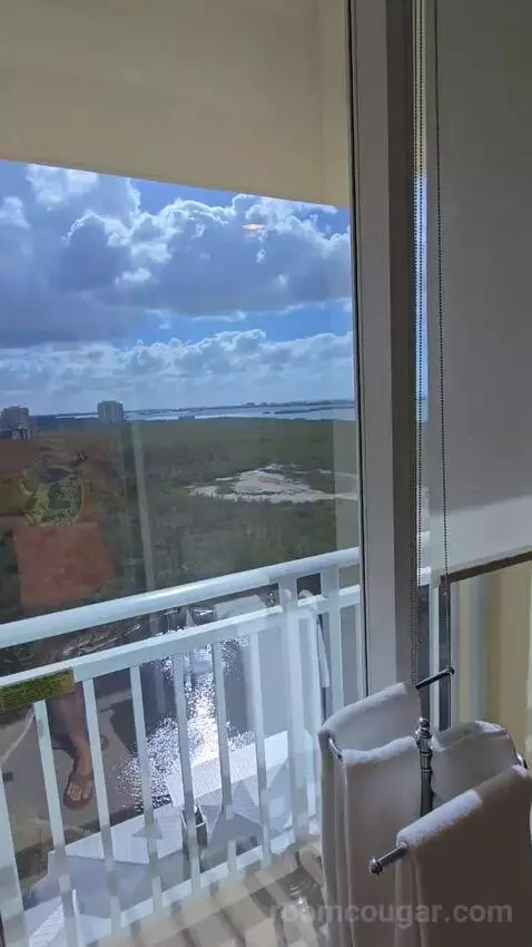 Presidential Suite (#1629) view picture #12