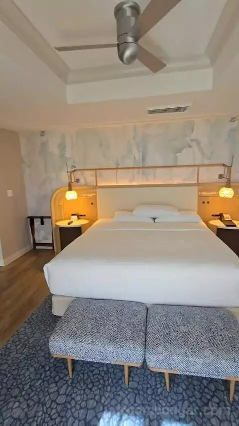 Presidential Suite (#1629) bed picture #11