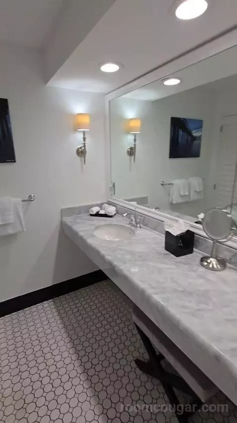 Deluxe King Room Lake View with Balcony (#302) bathroom picture #2