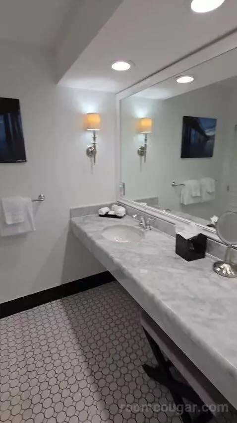 Deluxe King Room Lake View with Balcony (#302) bathroom picture #3