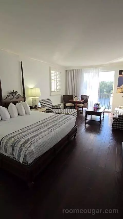 Deluxe King Room Lake View with Balcony (#302) bed picture #7