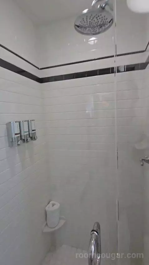 Deluxe King Room Lake View with Balcony (#302) bathroom picture #4