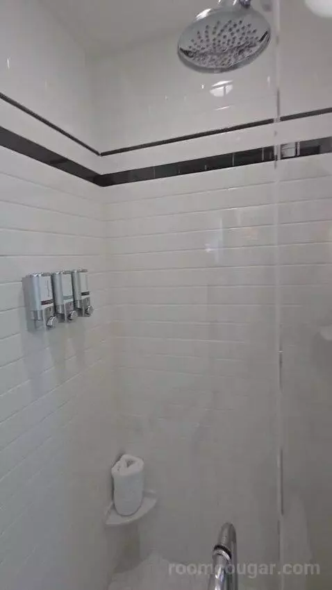 Deluxe King Room Lake View with Balcony (#302) bathroom picture #5