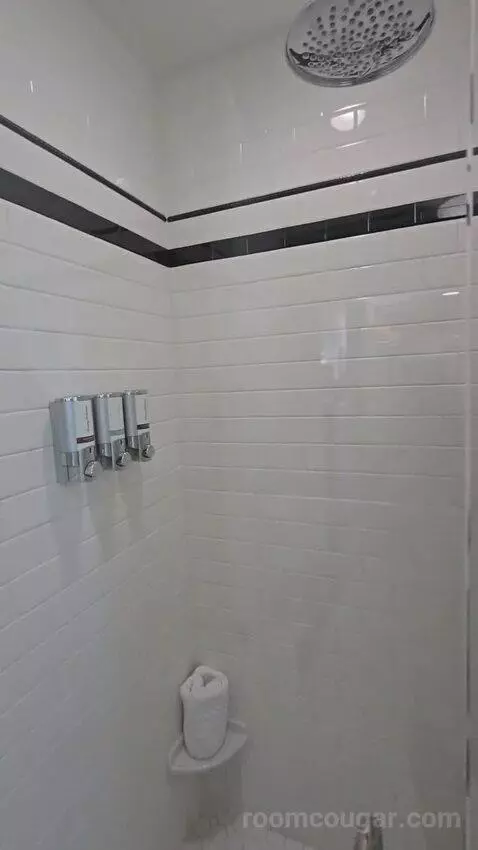 Deluxe King Room Lake View with Balcony (#302) bathroom picture #6
