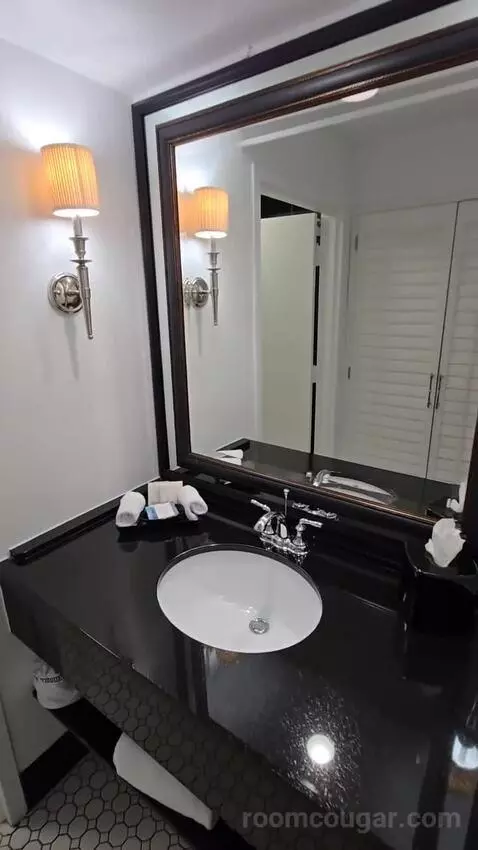 King Room Lake View with Balcony (#504) bathroom picture #2