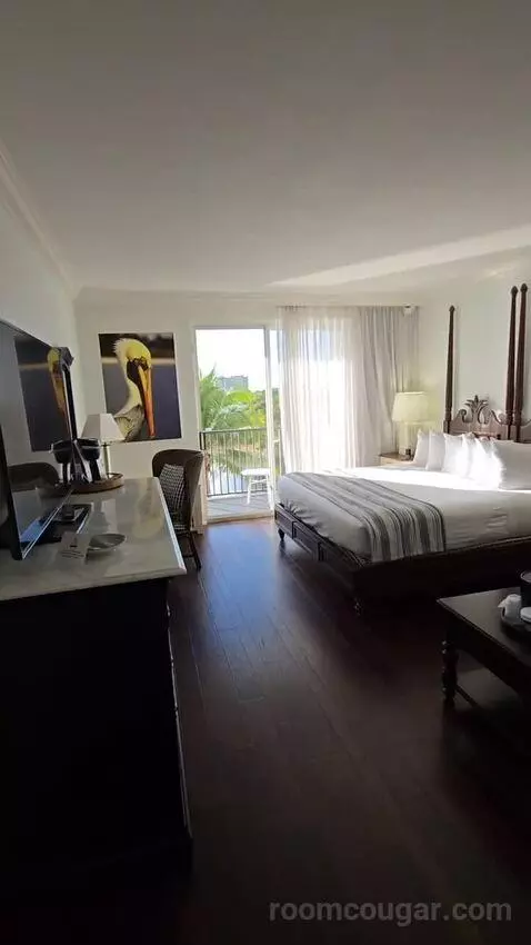 King Room Lake View with Balcony (#504) view picture #2