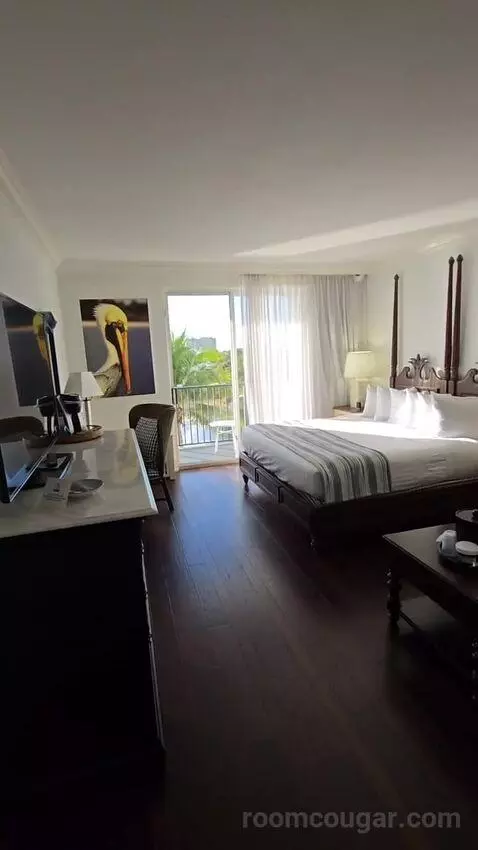 King Room Lake View with Balcony (#504) view picture #3